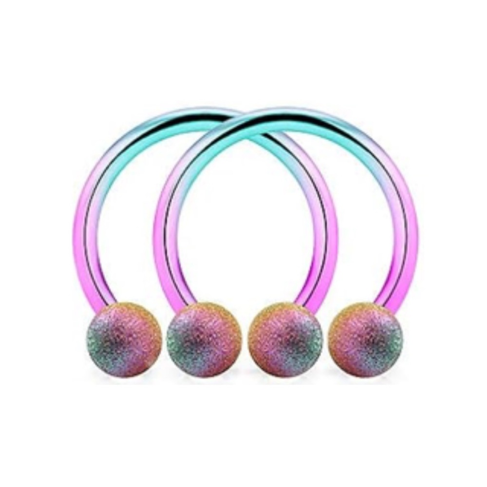 Rainbow Sandblast Horseshoe Earrings